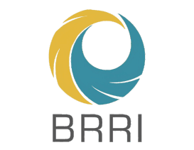 BRRI