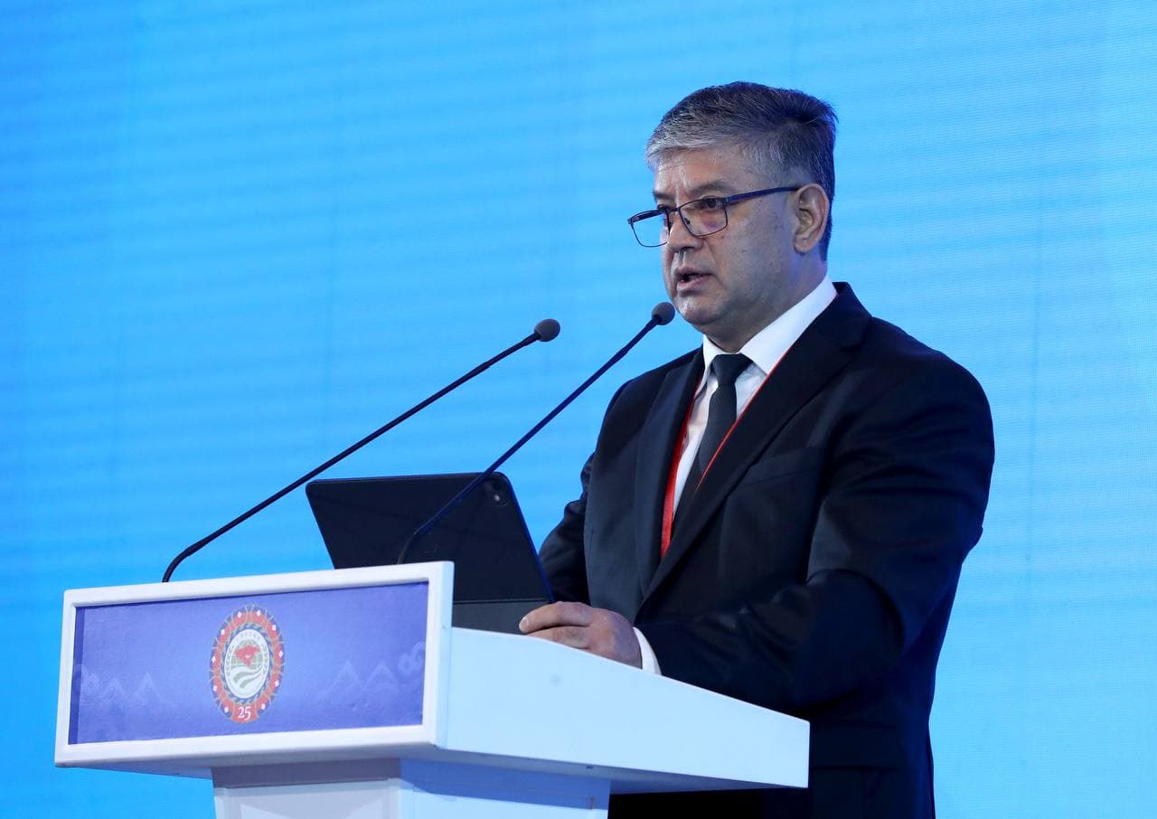 Мамлекеттик кызмат көрсөтүүлөр санариптештирүү