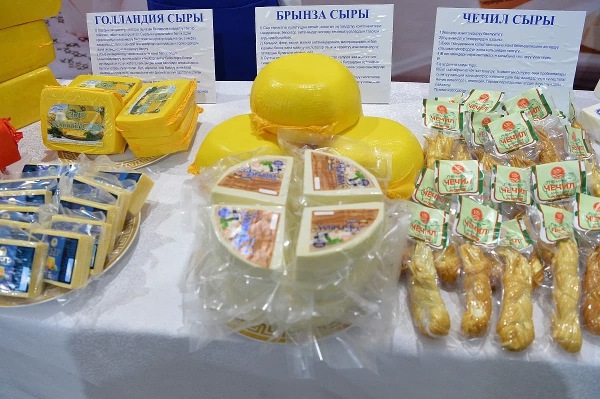 Мадэрнізацыя малочнага завода «Каракол-Сут»