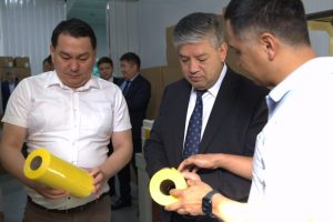 Кыргыз Республикасынын Президентине караштуу Инвестициялар боюнча улуттук агенттиктин директору Равшанбек Сабиров Бишкек ЭЭАда текшерүү жүргүздү.