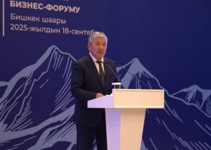 فروم کسبوکار قرقیز-ترکیه در بیشکک: سفر معاون رئیسجمهور ترکیه و انگیزهای جدید برای همکاری استراتژیک