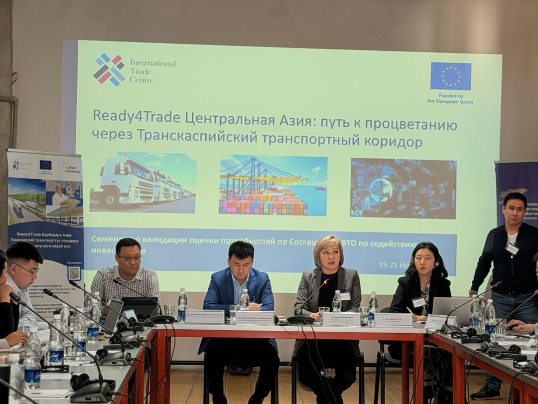 Кыргызстанда ДСУнун инвестицияларды илгерилетүү боюнча келишимине кошулуу боюнча иштер улантылууда