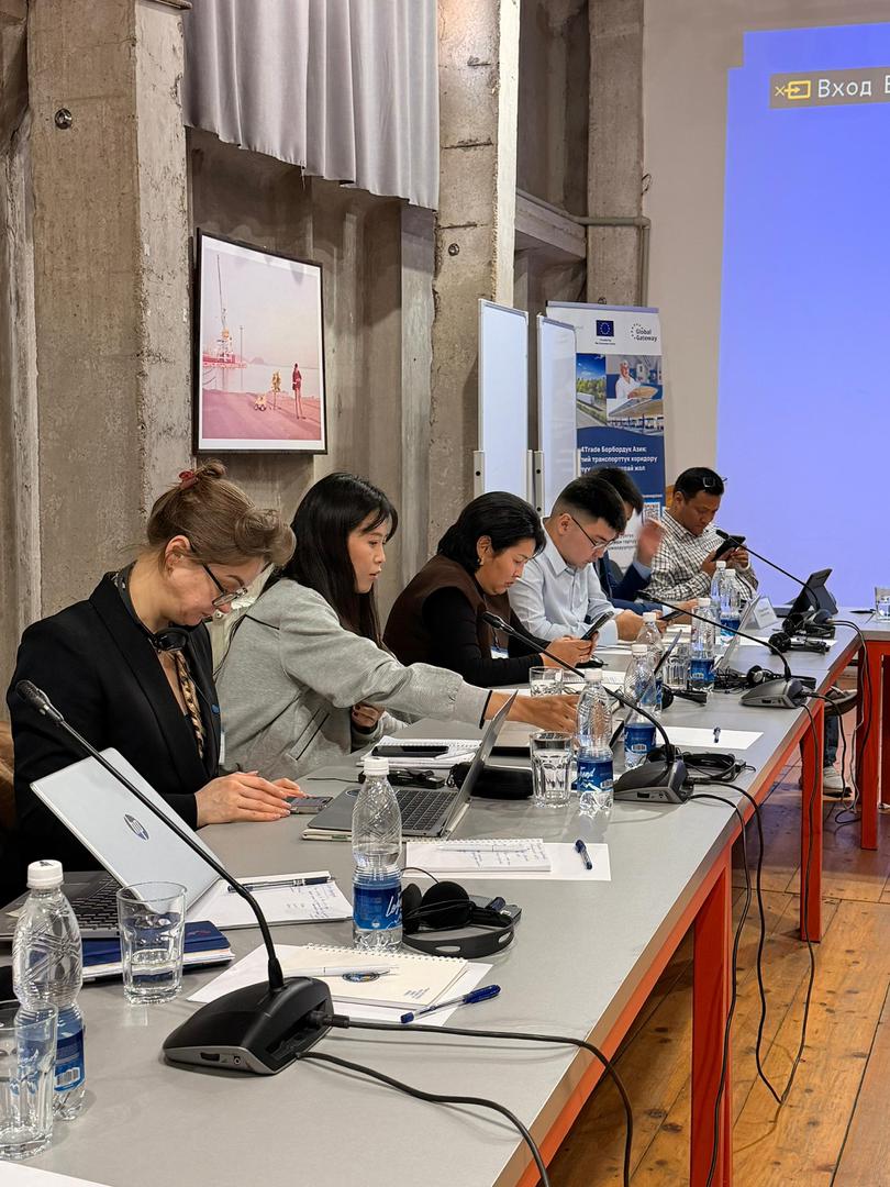 Кыргызстанда ДСУнун инвестицияларды илгерилетүү боюнча келишимине кошулуу боюнча иштер улантылууда