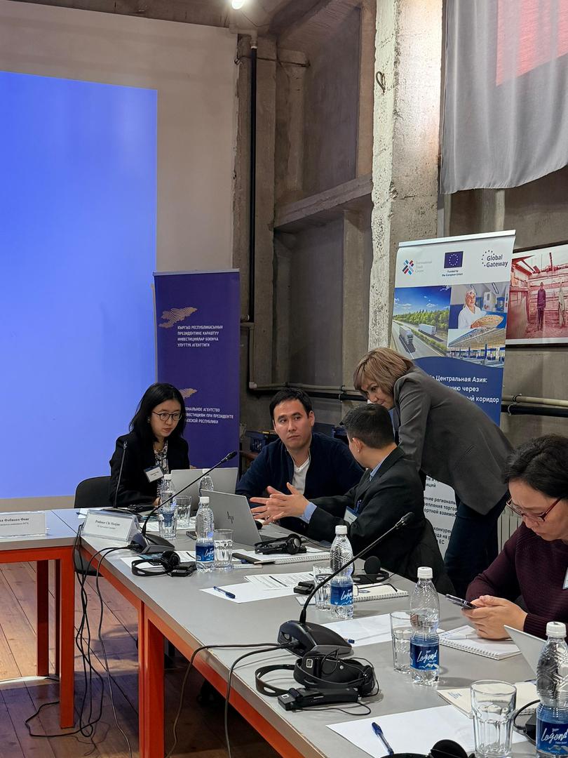 Кыргызстанда ДСУнун инвестицияларды илгерилетүү боюнча келишимине кошулуу боюнча иштер улантылууда