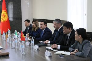 Инвестициялар боюнча улуттук агенттик италиялык тараптын өкүлдөрү менен жолугушту