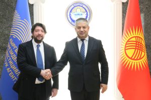 Инвестициялар боюнча улуттук агенттик италиялык тараптын өкүлдөрү менен жолугушту