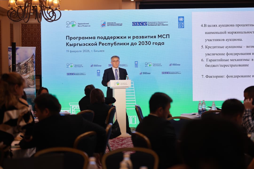 МЖӨ борбору Кыргыз Республикасынын 2030-жылга чейинки ЧОИни колдоо жана өнүктүрүү программасын талкуулоо боюнча стратегиялык сессияга катышты