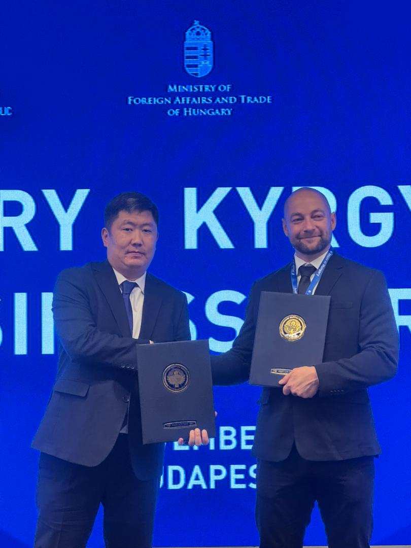 Рабочая поездка в Будапешт и перспективы сотрудничества в сфере энергетики